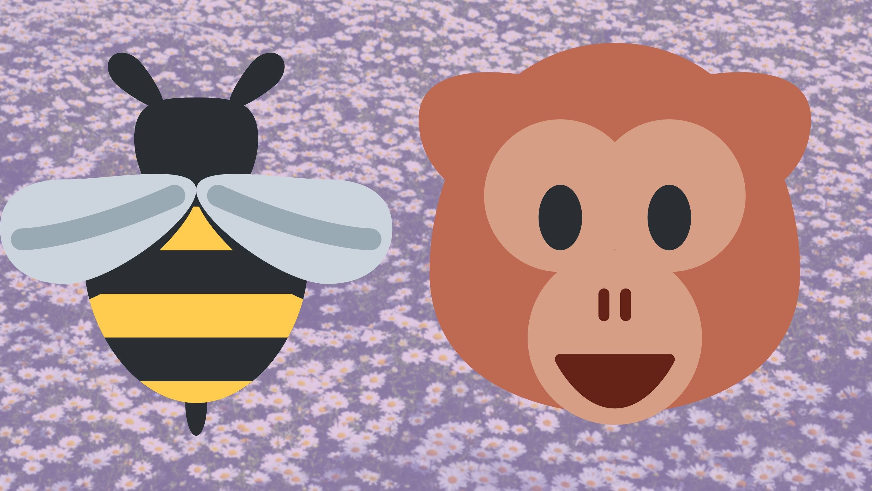 Οι μέλισσες και οι μαϊμούδες!